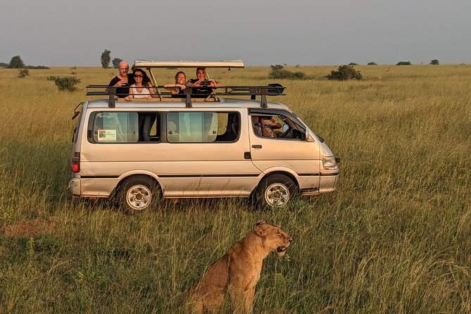 12-Day Moderately Priced Pearl of Africa - Uganda Private Safari - Safari Inclusions