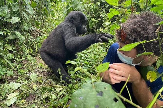 12-Day Moderately Priced Pearl of Africa - Uganda Private Safari - Pricing and Cancellation Policy