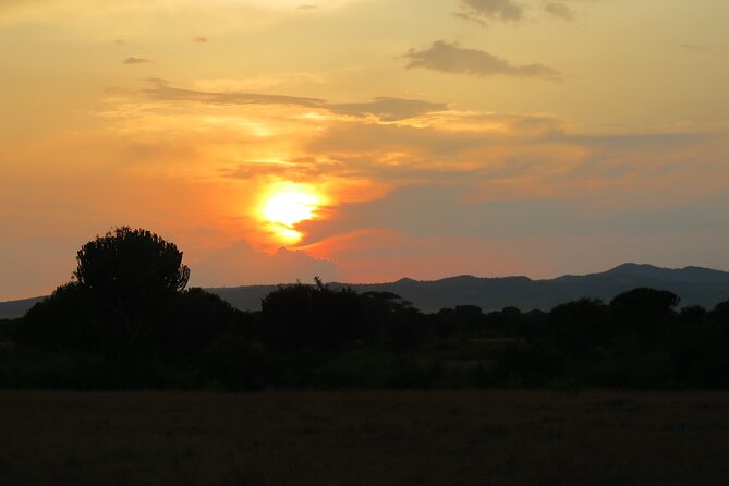 12-Day Moderately Priced Pearl of Africa - Uganda Private Safari - Safari Reviews
