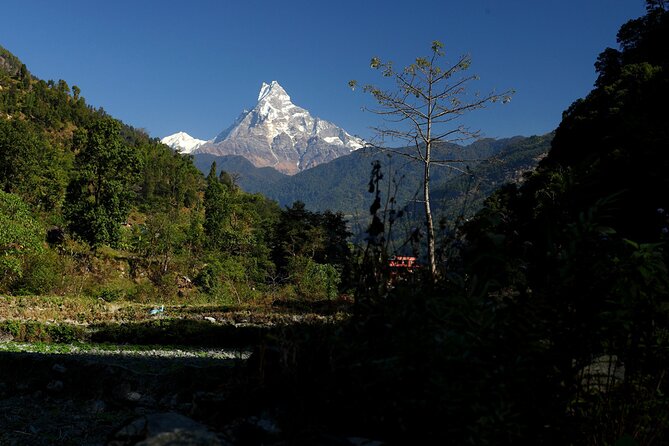 12-DAY Nepal Adventure Trek With Jungle Safari - Accommodation and Transportation