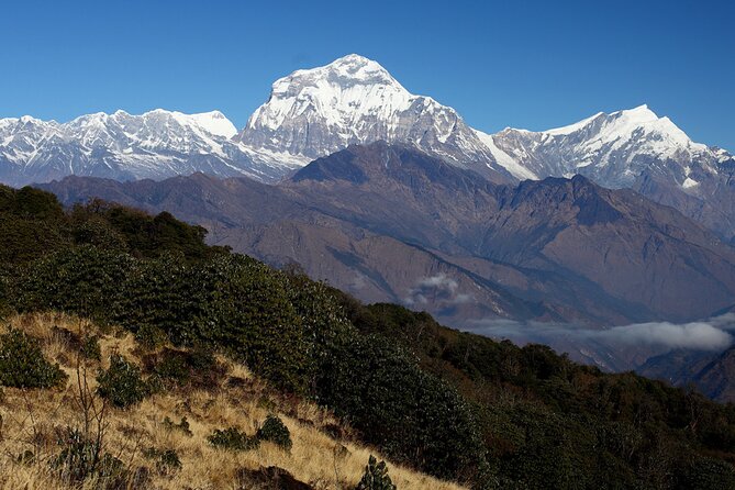 12-DAY Nepal Adventure Trek With Jungle Safari - Booking and Policies