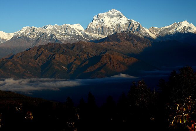12-DAY Nepal Adventure Trek With Jungle Safari - Pokhara and Annapurna