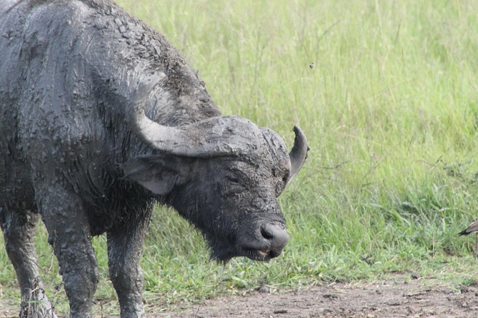 12-Day Pearl of Africa Wildlife and Adventure Highlights - Booking Information