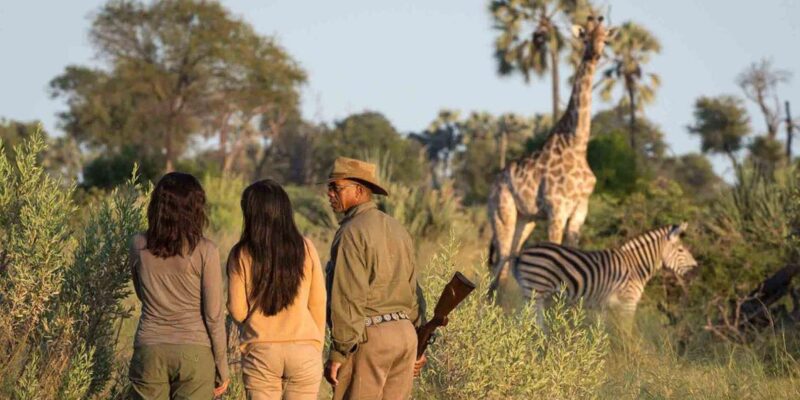 12 Day Private Safari - Johannesburg to Cape Town - Adventure Activities
