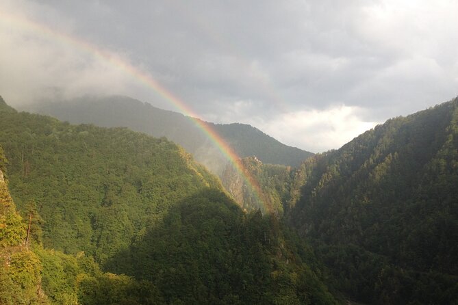 12-DAY Private Tour of Romania With Pick up - Customer Feedback