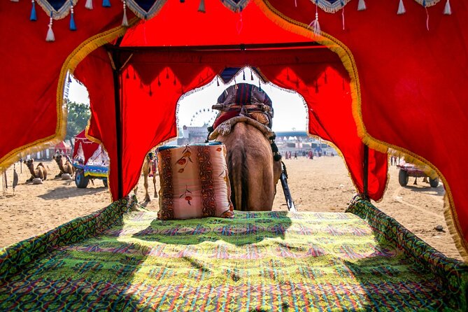 12 Day Royal Rajasthan Tour - Taj Mahal, Tigers, Lakes & Wildlife - Flexible Private Tour Experience