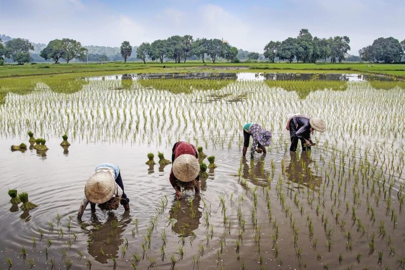12-DAY Vietnam and Cambodia Tour With Hạ Long Bay Cruise - Arrival and Hanoi Exploration