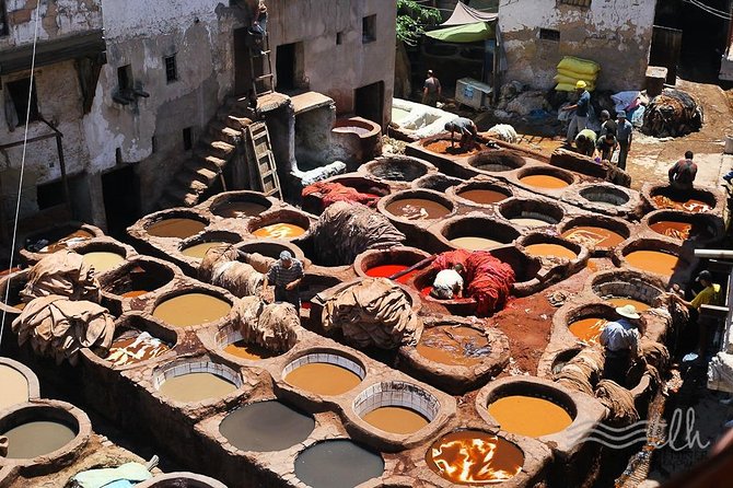 12 Days 11 Nights Morocco Cultural Immersion Tour - Cultural Experiences