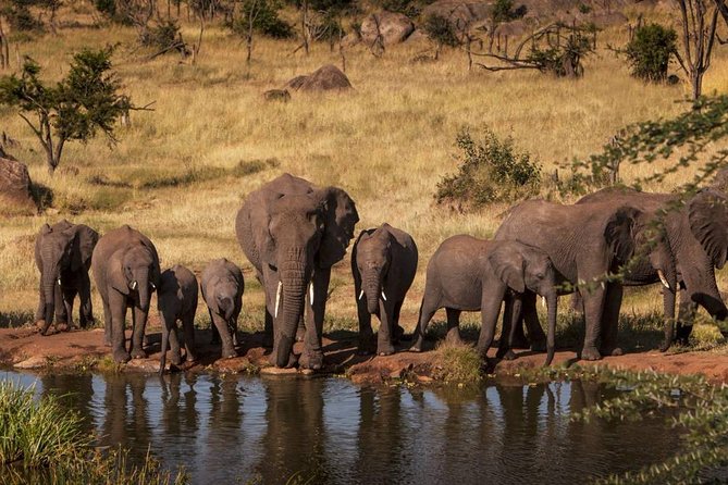 12 Days Amazing Tanzania Wildlife and Cultural Experience - Itinerary Highlights