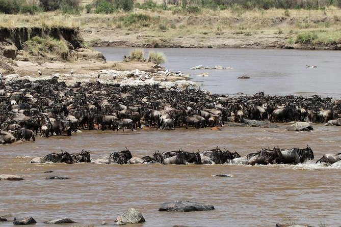 12 Days Amazing Tanzania Wildlife and Cultural Experience - Booking and Confirmation