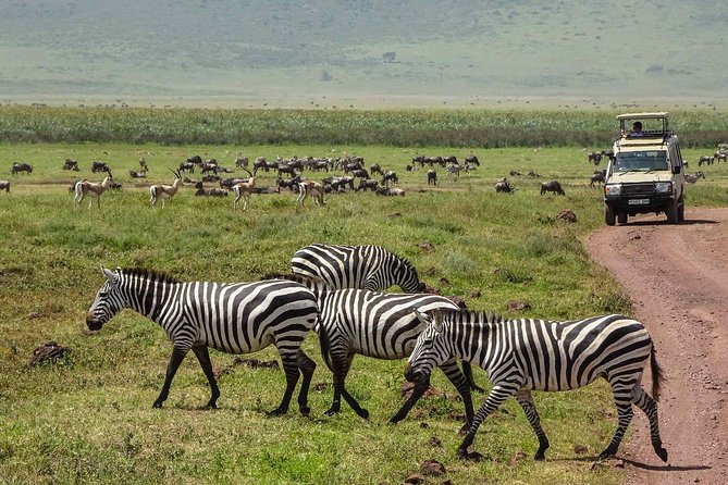 12 Days Amazing Tanzania Wildlife and Cultural Experience - Transportation and Accessibility