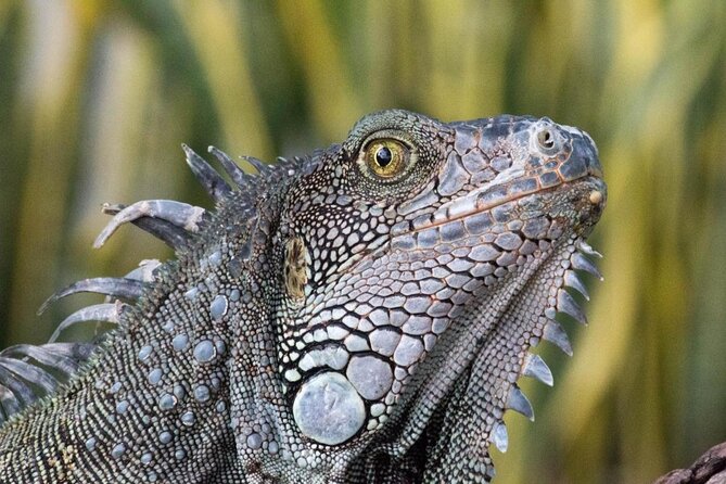 12-Days Andes, Coast & Galápagos From Quito - Key Points