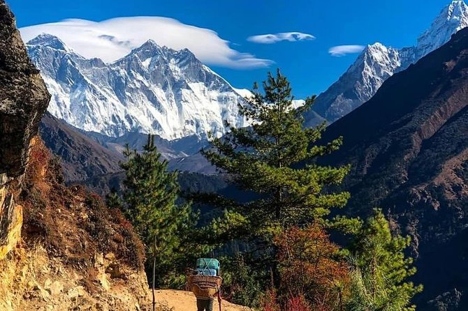 12 Days Annapurna Round Trek From Pokhara - Encountering Wildlife and Vegetation