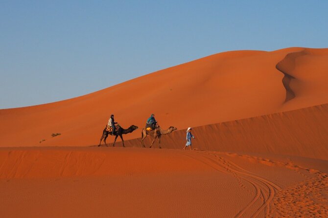 12 Days Best Highlights of Morocco - Sahara Desert Adventure: Camel Riding and Quad Biking