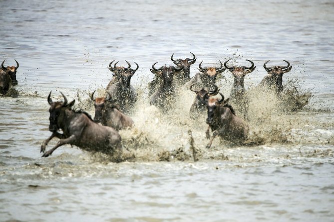 12 Days Best Of Kenya and Tanzania Safari - Luxury - Ngorongoro Crater Exploration