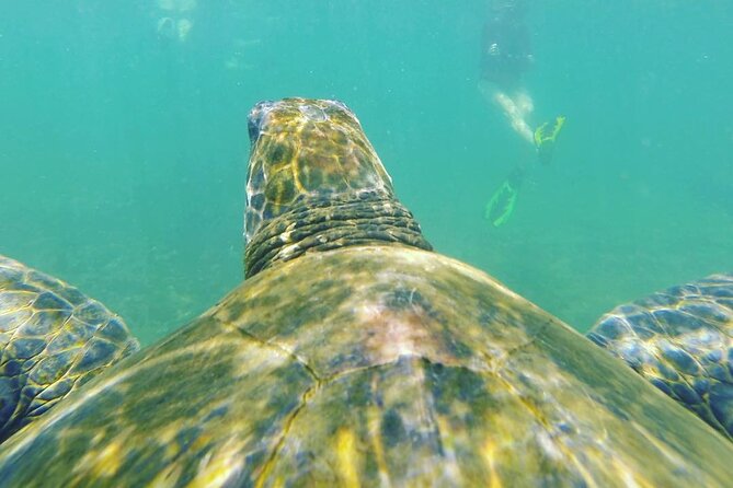 12 Days Exploring Galapagos Santa Cruz- Isabela - San Cristobal - Accommodation and Amenities