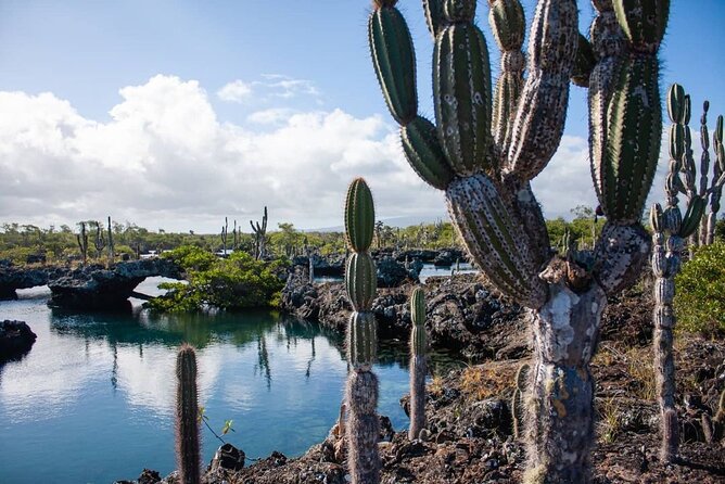 12 Days Exploring Galapagos Santa Cruz- Isabela - San Cristobal - Accessibility and Suitability