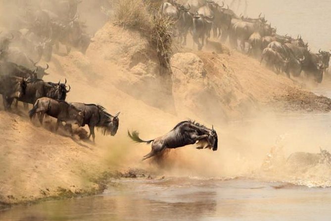 12 Days Kenya and Tanzania Safari Private Lodge From Nairobi - Pickup and Departure Details