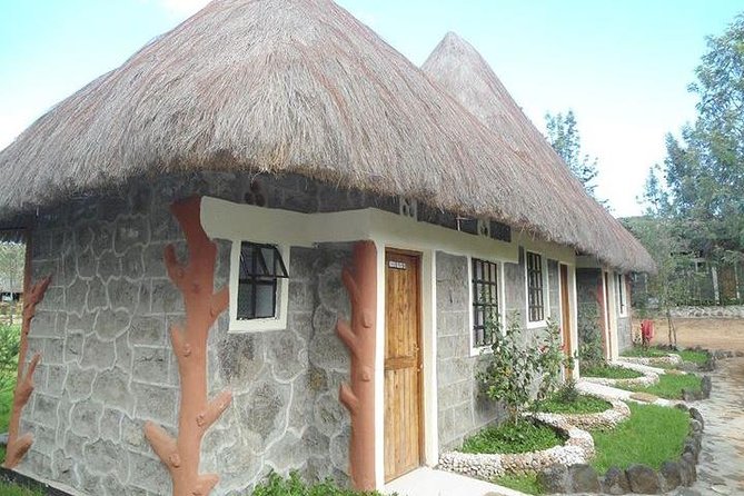 12 Days Kenya and Tanzania Safari Private Lodge From Nairobi - Reviews and Testimonials