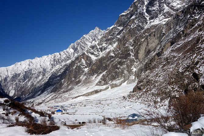 12 Days Langtang Valley Homestay Trek - Daily Trekking Itinerary