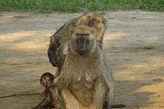12 Days Memorable Experience Tour in Uganda - Outdoor Adventure Activities
