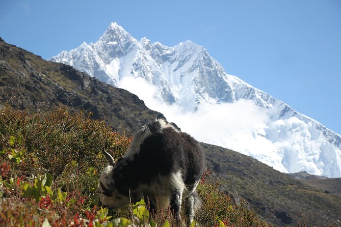 12 Days Private Everest Camp Base Tour From Kathmandu - Tour Highlights