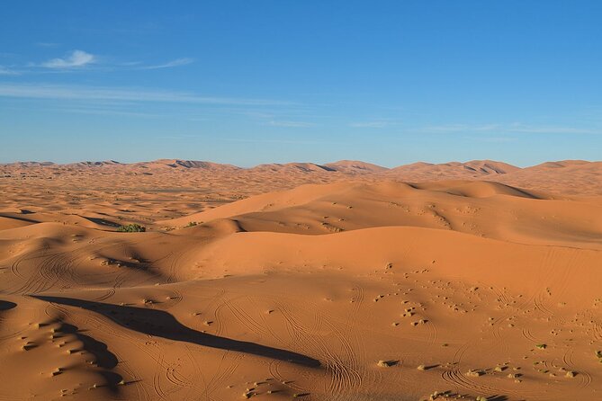 12 Days Private Luxury Sightseeing Tour in Morocco - Transportation and Logistics