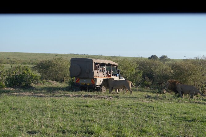 12 Days Private Safari Tour in Kenya and Tanzania - Accommodation Options