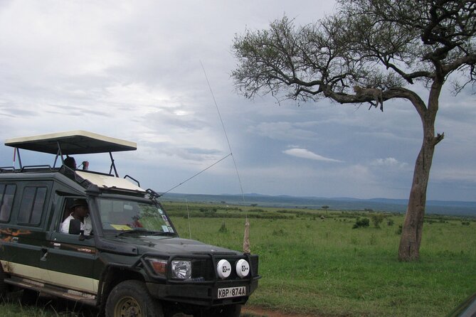 12 Days Private Safari Tour in Kenya and Tanzania - Wildlife Viewing