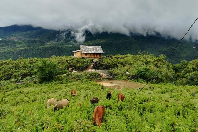 12 Days Vietnam-Cambodia Tour Review - Travel Insurance and Visas