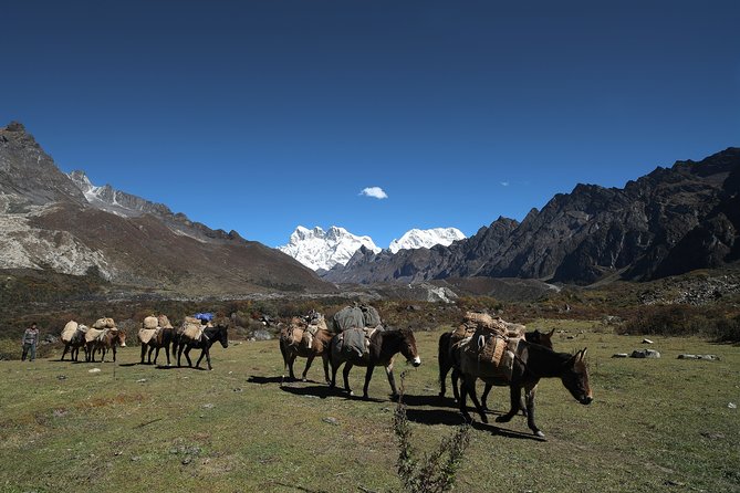 12 Days Wonders of Bhutan With 3-Day Gangtey Nature Trek - Good To Know