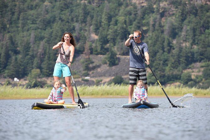 12-Hours Stand-up Paddle Board Rentals - Pickup and Delivery Options