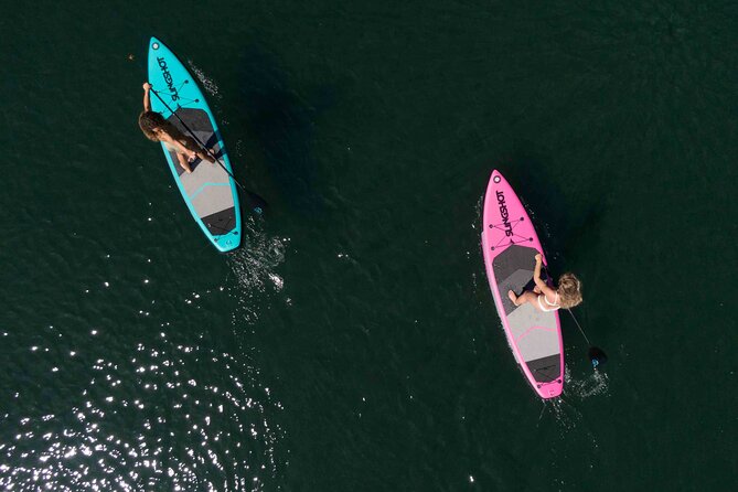 12-Hours Stand-up Paddle Board Rentals - Choosing the Right Paddle Board