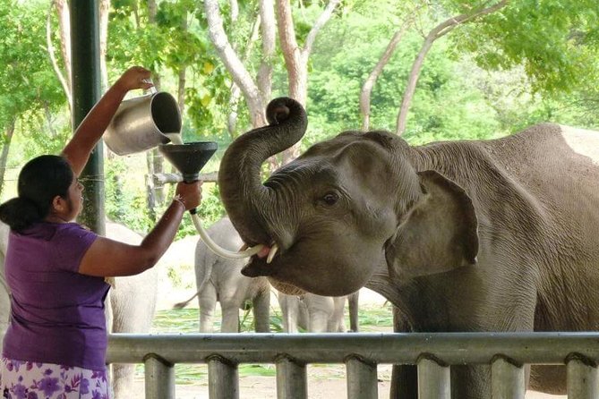 12 Nights Wild Life & Nature Tour - Operating Hours