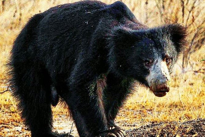 12 Nights Wild Life & Nature Tour - Confirmation Process