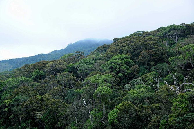 12 Nights Wild Life & Nature Tour - Tour Exclusivity