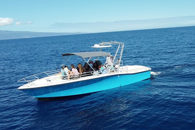 12 Passenger Kaanapali Beach Whale Watch Tour. Onboard Whale Mic - Convenient Meeting Point and Pickup Directions