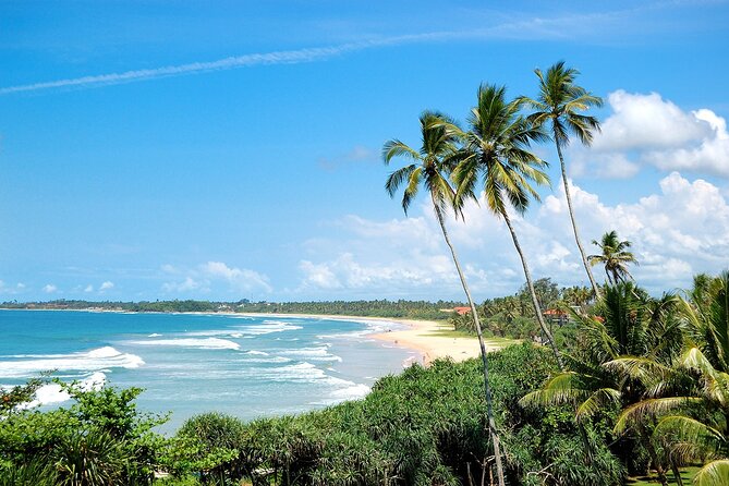 13-Day Flexible Private Sri Lanka Tour - Activities and Experiences