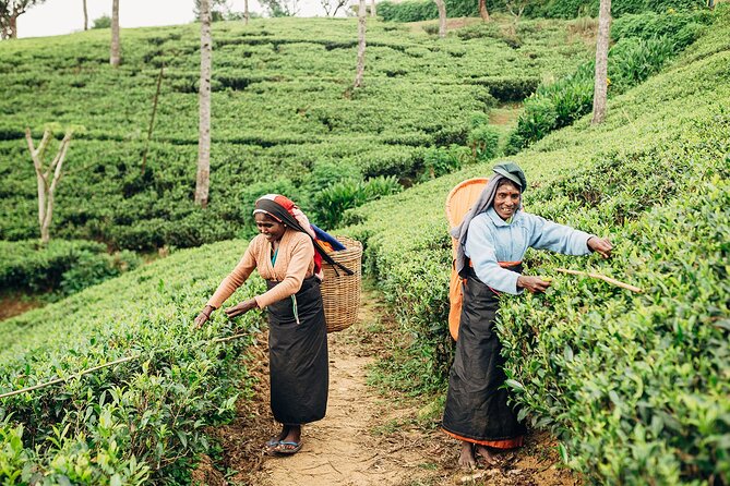 13-Day Flexible Private Sri Lanka Tour - Meeting and Pickup