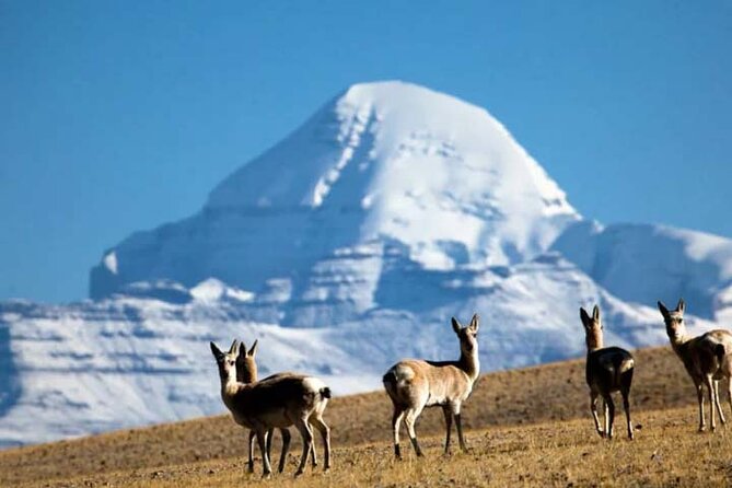 13 Day Lhasa, Mt. Everest, Mt. Kailash to Kathmandu Adventure - Guide Quality and Experience