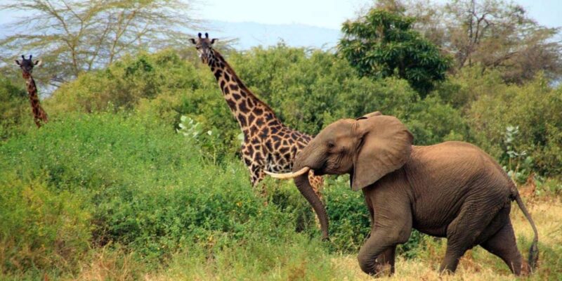 13 Day Private Tour & Safari- Cape Town to Johannesburg - Key Points