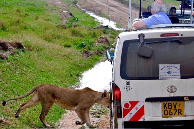 13-Day Private Wildlife Safari Tour of Kenya and Tanzania - Pricing and Cancellation