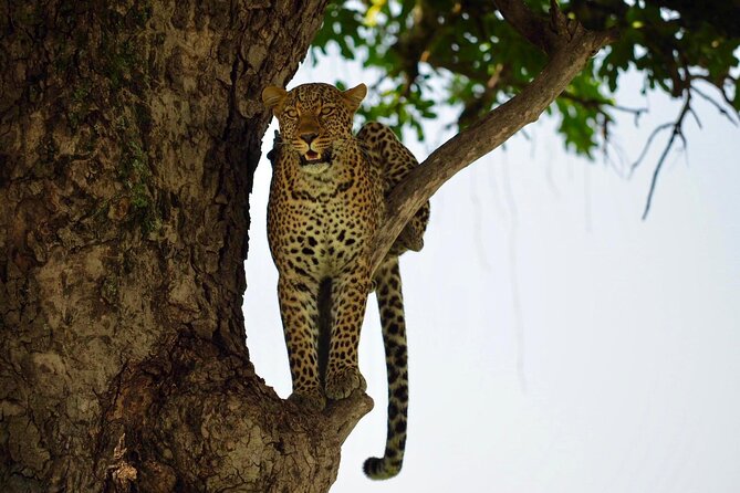 13-Day Private Wildlife Safari Tour of Kenya and Tanzania - Additional Information
