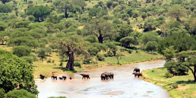 13 Day Tour From Cape Town to Johannesburg via Garden Route - Wine Route and Wildlife