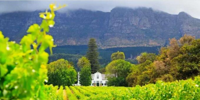 13 Day Tour From Cape Town to Johannesburg via Garden Route - Knysna, Plettenberg Bay, and Port Elizabeth