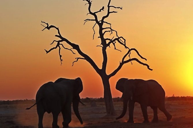 13 Day WILDERNESS TRAIL: Best Of Northern Botswana -WildCamping + Victoria Falls - Accommodation and Meals
