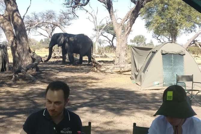13 Day WILDERNESS TRAIL: Best Of Northern Botswana -WildCamping + Victoria Falls - Participant Requirements