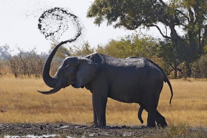 13 Day WILDERNESS TRAIL: Best Of Northern Botswana -WildCamping + Victoria Falls - Booking Information