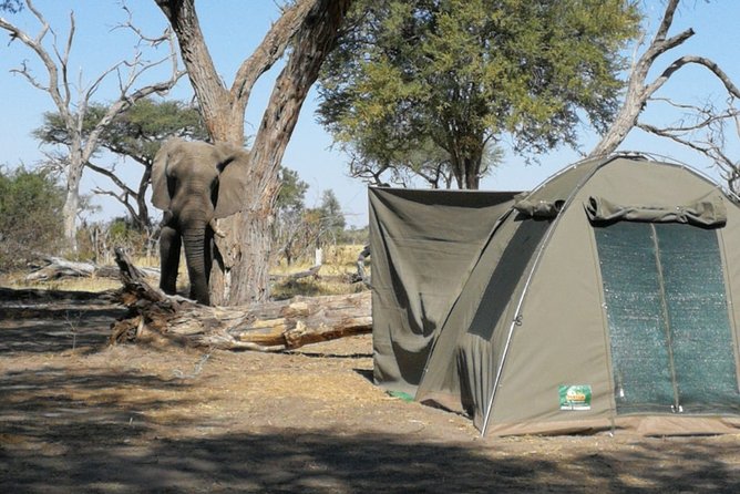 13 Day WILDERNESS TRAIL: Best Of Northern Botswana -WildCamping + Victoria Falls - Verified Customer Reviews