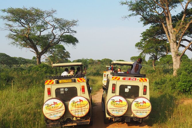 13-Day Wildlife Adventure Trip to the Pearl of Africa - Comfortable Accommodations and Meals